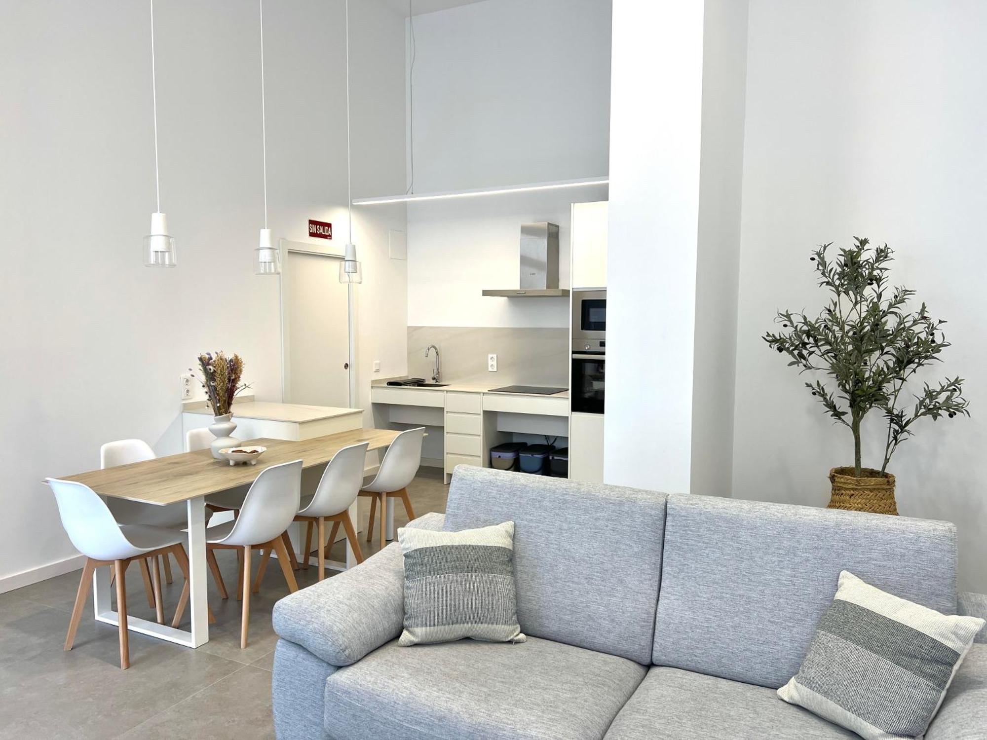 Main Lofts Appartement